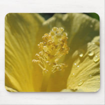 Hibiscus Mousepad by mlane53 Hibiscus Mousepad