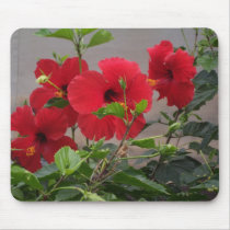 Hibiscus Mousepad by islandhula Hibiscus Mousepad