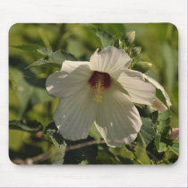 Hibiscus - mousepad by Horseshoes3 Hibiscus - mousepad