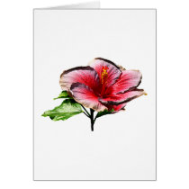 Hibiscus Night Fire cards by SusanSavad Hibiscus Night Fire cards