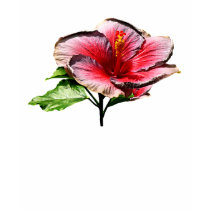 Hibiscus Night Fire Ladies t-shirts