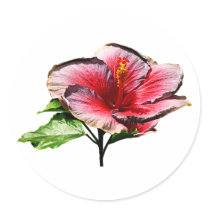 Hibiscus Night Fire stickers