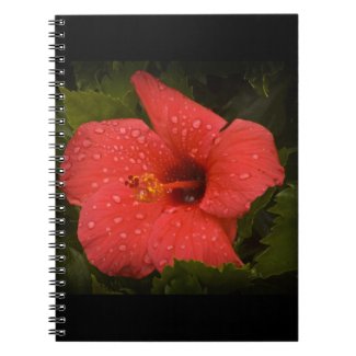 Hibiscus fuji_notebook