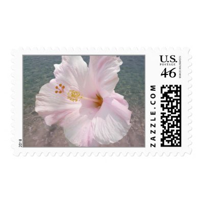 Hibiscus & Ocean Water Postage Stamp