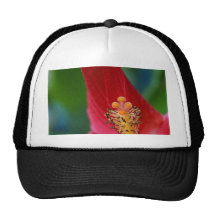 Hibiscus Opened Flower Trucker Hats
