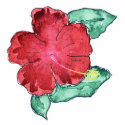 Hibiscus Photo Sculpture photo sculptures by ginyhogan Hibiscus Photo Sculpture photo sculptures
