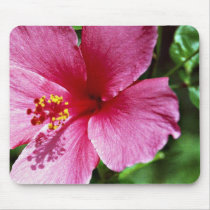 Hibiscus, pink mousepads