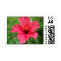 Hibiscus postage by dspurlock Hibiscus postage