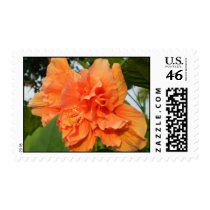 Hibiscus postage by bonnievoyage Hibiscus postage