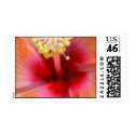 Hibiscus Postage stamp