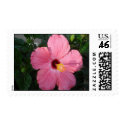 Hibiscus postage