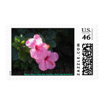 HIBISCUS! POSTAGE STAMPS