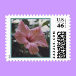 Hibiscus - postage postage