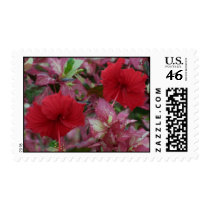 Hibiscus postage