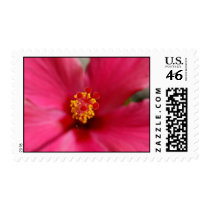 Hibiscus Postage postage by pulsDesign Hibiscus Postage postage