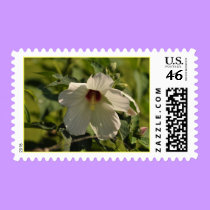 Hibiscus - postage stamps stamps