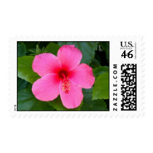 hibiscus postage stamps