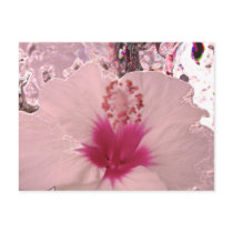 Hibiscus postcards by Perlyyyy Hibiscus postcards