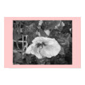 Hibiscus poster by MendedWing Hibiscus poster