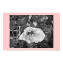 Hibiscus posters by MendedWing Hibiscus posters