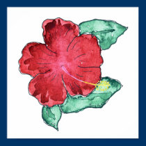 Hibiscus Posters and Prints posters