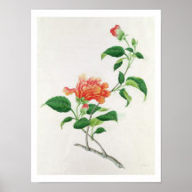 Hibiscus Print