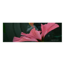 Hibiscus Profiled Bookmark business cards