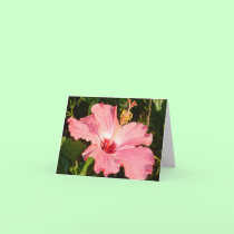Hibiscus - R cards