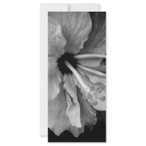 Hibiscus rack cards