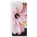 Hibiscus Personalized Rack Card