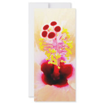 Hibiscus rack cards