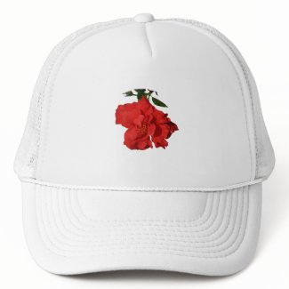 Hibiscus Red Flower Photograph Design