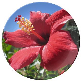Hibiscus Red Flower Porcelain Plate