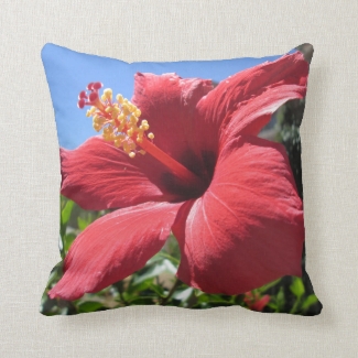 Hibiscus Red Flower