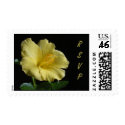 Hibiscus RSVP ~ stamp by Andy2302 Hibiscus RSVP ~ stamp