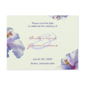 Hibiscus Save the Date postcards