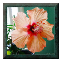 Hibiscus Sensation Print by Floral_Dreamsnet Hibiscus Sensation Print