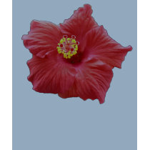 Hibiscus shirt