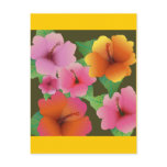 hibiscus_sq600 postcards