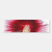 Hibiscus Stamen Bumper Sticker