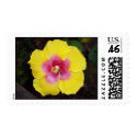 hibiscus stamp by mrhanrahan hibiscus stamp