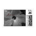hibiscus stamp by ilove2travel hibiscus stamp
