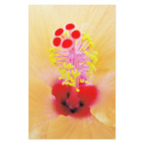 Hibiscus stationery