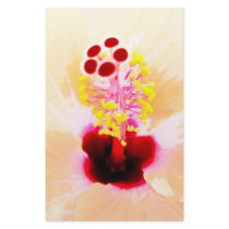 Hibiscus stationery