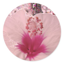 Hibiscus stickers by Perlyyyy Hibiscus stickers