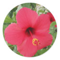 Hibiscus sticker