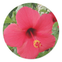 Hibiscus stickers