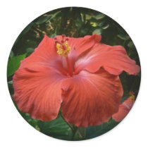 Hibiscus stickers