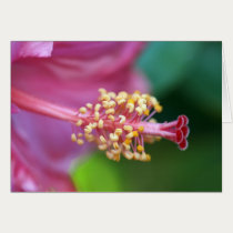 Hibiscus study Card by naturespaintbox Hibiscus study Card