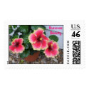 Hibiscus, Summer Beauty postage